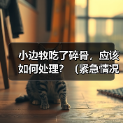 小边牧误食碎骨应急处理全攻略 小边牧误食碎骨应急处理全攻略
