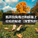 狗狗面部痘痘成因与护理全攻略