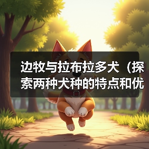 边牧与拉布拉多对比指南｜如何选适合的狗狗
