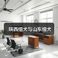 陕西细犬与山东细犬对比指南｜选择适合伴侣犬