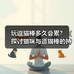 逗猫棒游戏多久合适全攻略 逗猫棒游戏多久合适全攻略