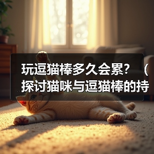 逗猫棒游戏多久合适全攻略 逗猫棒游戏多久合适全攻略