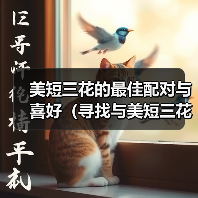 美短三花最佳伴侣猫种搭配全攻略 美短三花最佳伴侣猫种搭配全攻略