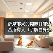 养萨摩耶犬需综合评估自身条件与宠物需求全攻略 养萨摩耶犬需综合评估自身条件与宠物需求全攻略