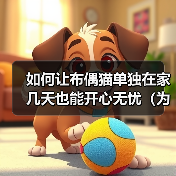 布偶猫独自在家怎么办实用技巧