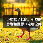 宠物相处责任缺失致悲剧教育引导至关重要全攻略