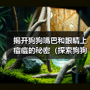 狗狗面部痘痘成因与护理全攻略