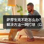 萨摩犬产后食欲不振护理全攻略