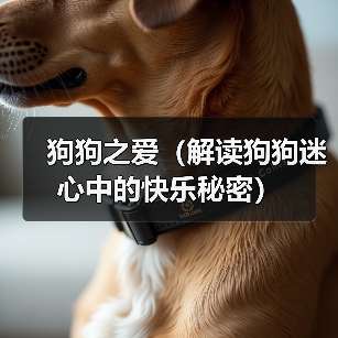 狗狗之爱与心理愉悦的深层关联｜情感价值全解析