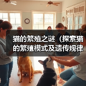 猫的繁殖奥秘与遗传解析｜科学指南