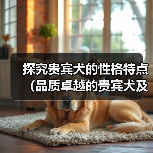 贵宾犬性格特点解析｜家庭宠物优选指南
