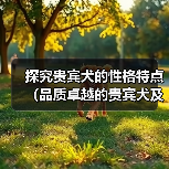贵宾犬性格特点解析｜家庭宠物优选指南