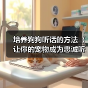 培养狗狗听话技巧｜成为忠诚好伙伴全攻略