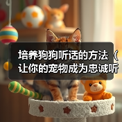 培养狗狗听话技巧｜成为忠诚好伙伴全攻略