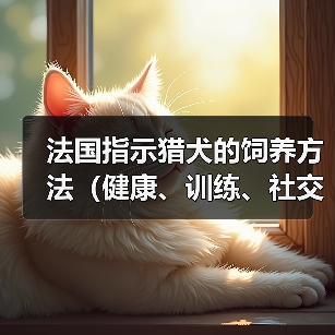 法国指示猎犬饲养全攻略|健康训练社交化指南 法国指示猎犬饲养全攻略|健康训练社交化指南