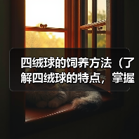 四绒球饲养全攻略|科学方法让宠物健康快乐成长 四绒球饲养全攻略|科学方法让宠物健康快乐成长
