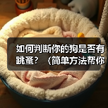 如何判断狗有跳蚤全攻略 如何判断狗有跳蚤全攻略