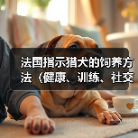 法国指示猎犬饲养全攻略|健康训练社交化指南 法国指示猎犬饲养全攻略|健康训练社交化指南