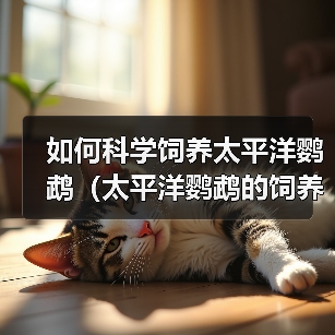 太平洋鹦鹉科学饲养方法与技巧全攻略 太平洋鹦鹉科学饲养方法与技巧全攻略