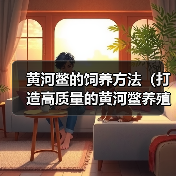 黄河鳖养殖全攻略：从选种到销售的高质量方法