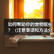 宠物驱虫注意事项与方法｜全面指南