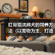 红骨猎浣熊犬饲养指南|健康快乐生活全攻略 红骨猎浣熊犬饲养指南|健康快乐生活全攻略
