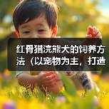 红骨猎浣熊犬饲养指南|健康快乐生活全攻略 红骨猎浣熊犬饲养指南|健康快乐生活全攻略