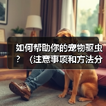 宠物驱虫注意事项与方法｜全面指南