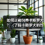 卡斯罗犬饲养全攻略｜性格特点与日常护理指南