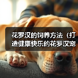 花罗汉饲养方法全攻略 花罗汉饲养方法全攻略