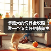 博美犬饲养全攻略|实用指南 博美犬饲养全攻略|实用指南