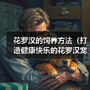 花罗汉饲养方法全攻略 花罗汉饲养方法全攻略