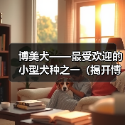 博美犬特点与饲养指南|全面解析小型犬伴侣魅力 博美犬特点与饲养指南|全面解析小型犬伴侣魅力