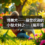 博美犬特点与饲养指南|全面解析小型犬伴侣魅力 博美犬特点与饲养指南|全面解析小型犬伴侣魅力