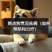 斑点狗常见疾病预防与治疗指南