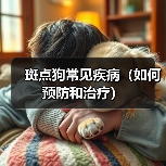 斑点狗常见疾病预防与治疗指南