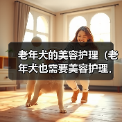老年犬美容护理指南|健康与美丽并重 老年犬美容护理指南|健康与美丽并重