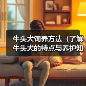牛头犬饲养全攻略｜健康活泼宠物生活指南