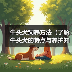 牛头犬饲养全攻略｜健康活泼宠物生活指南