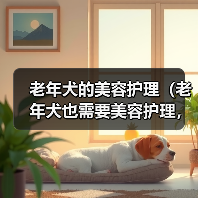 老年犬美容护理指南|健康与美丽并重 老年犬美容护理指南|健康与美丽并重