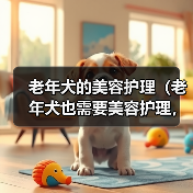 老年犬美容护理指南|健康与美丽并重 老年犬美容护理指南|健康与美丽并重
