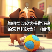 沙皮犬营养饮食指南|科学喂养全攻略 沙皮犬营养饮食指南|科学喂养全攻略