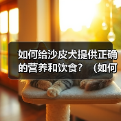 沙皮犬营养饮食指南|科学喂养全攻略 沙皮犬营养饮食指南|科学喂养全攻略