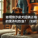 沙皮犬营养饮食指南|科学喂养全攻略 沙皮犬营养饮食指南|科学喂养全攻略