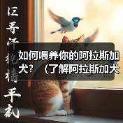 阿拉斯加犬饮食指南｜科学喂养全攻略