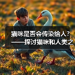 猫咪是否会传染给人｜健康共处实用指南