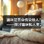 猫咪是否会传染给人｜健康共处实用指南