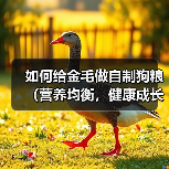 金毛自制狗粮配方与营养搭配全攻略 金毛自制狗粮配方与营养搭配全攻略