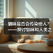 猫咪是否会传染给人｜健康共处实用指南
