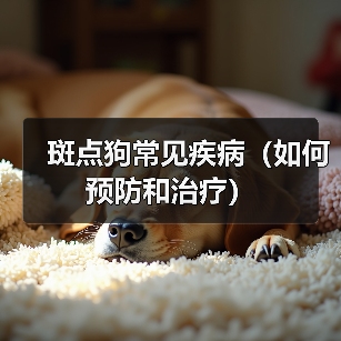 斑点狗常见疾病预防与治疗指南
